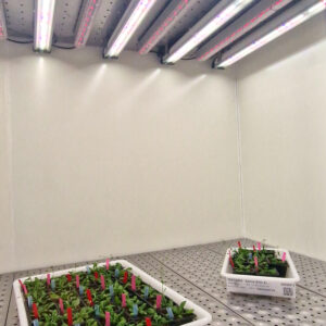 INSTALLATION WITH LUMINAIRES FOR HORTICULTURE - INSTALLATION WITH LUMINAIRES FOR HORTICULTURE
