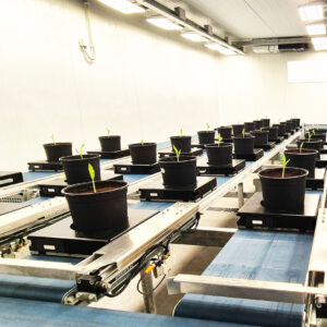 INSTALACIÓN CON LUMINARIAS PARA HORTICULTURA-INSTALLATION WITH LUMINAIRES FOR HORTICULTURE - INSTALLATION WITH LUMINAIRES FOR HORTICULTURE