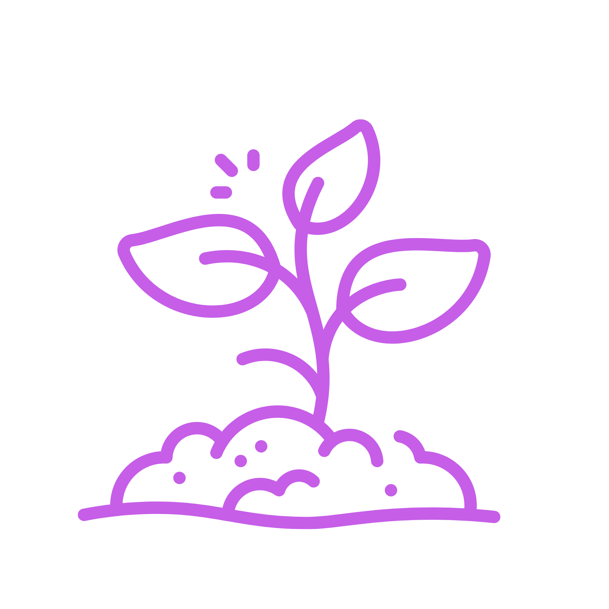 5.png